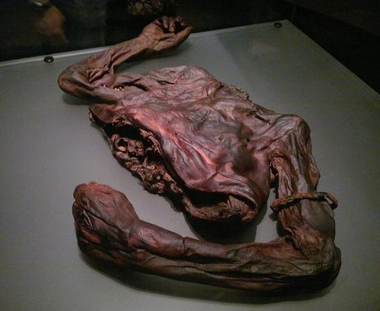 Iron Age bog body known today as Old Croghan Man and housed in the National Museum of Ireland. Source: Mark Healey / CC BY-SA 2.0