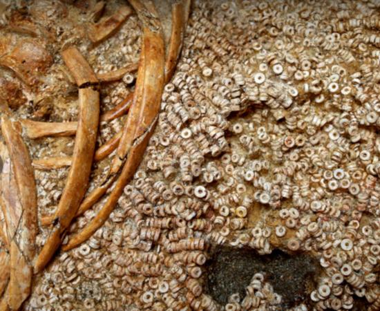 Close-up of the threaded beads on attire UE 344, found next to the bones of Individual 343.