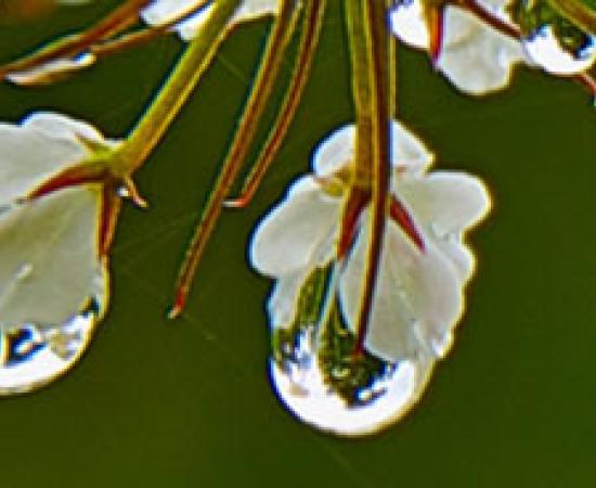 Archaeology & Cyclical Perception