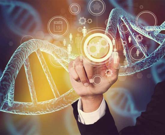 Breakthrough research into alternative dating technology using the Temporal Population Structure (TPS) tool could provide more accurate dating of ancient remains. Source: BillionPhotos.com / Adobe Stock