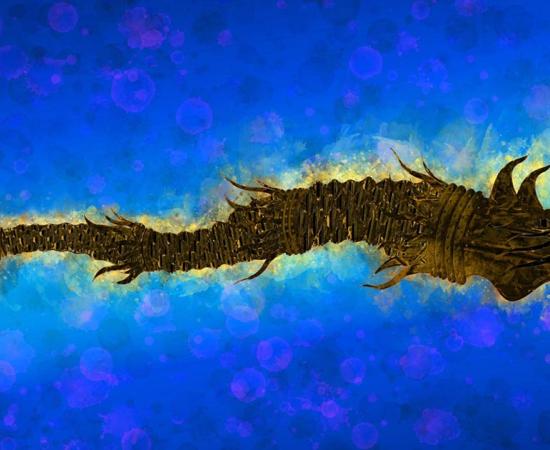 Dacian draco, symbol of Dacia, the warrior realm who attached the Romans. Source: Craitza / Adobe Stock.