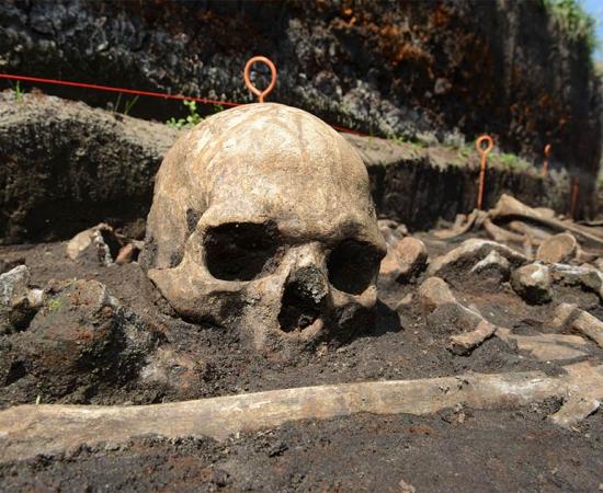 Bronze Age skull in situ in the Tollense valley Source: ©: Stefan Sauer / Tollense Valley Project