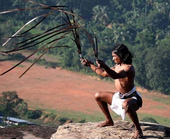 A Sri Lankan version of the urumi, with multiple blades.