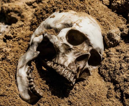 Deadman’s Island Source: Екатерина Белоусова / Adobe Stock