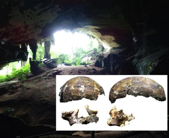 Ancient Deep Skull Still Holds Big Surprises 60 Years After it was Unearthed