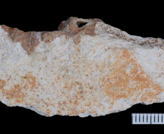 Fragment of Denisovan skull found in Bianfu Cave, China