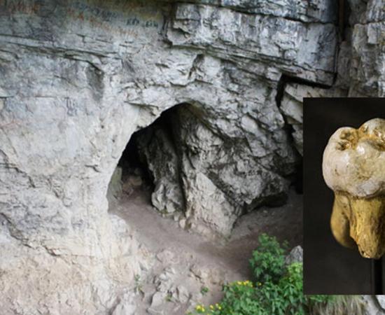 Denisova Cave, Russia. Inset: Denisovan molar discovered in Denisova Cave, Replica in Museum of Natural Sciences in Brussels, Belgium.