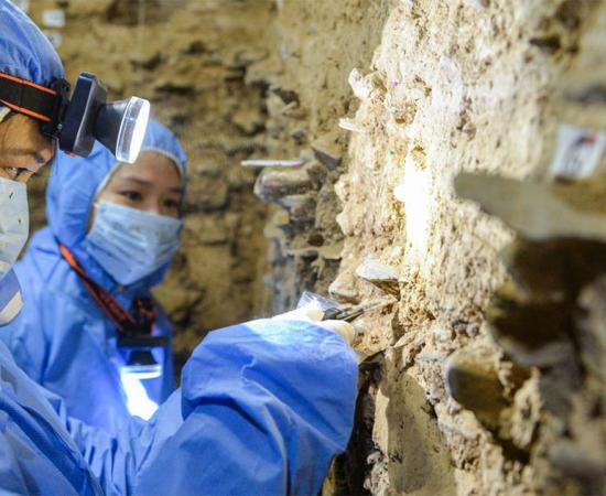 Denisovan DNA in Tibetan Cave Changes History of Early Humans in Asia