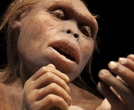 Early hominin works with tools. (procy_ab/AdobeStock)