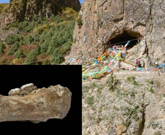 Baishiya Karst Cave in Xiahe,China. Source: (Dongju Zhang, Lanzhou University) Insert: The Xiahe mandible, only represented by its right half, was found in 1980 in Baishiya Karst Cave. (Dongju Zhang, Lanzhou University)