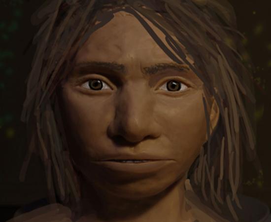 A preliminary portrait of a juvenile female Denisovan based on a skeletal profile reconstructed from ancient DNA methylation maps. Source: Maayan Harel