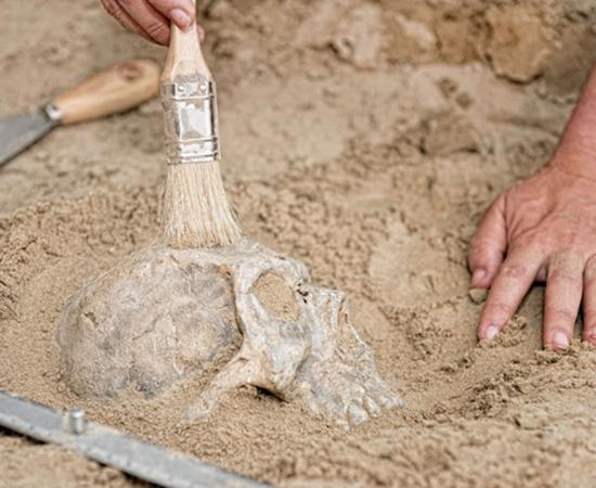 Representative image of skull discovery (not Denisovan)