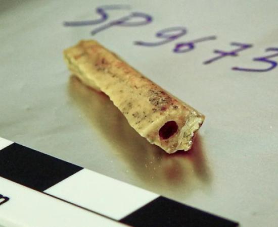 Bone fragment from a male Neanderthal in Denisova Cave, known as D1