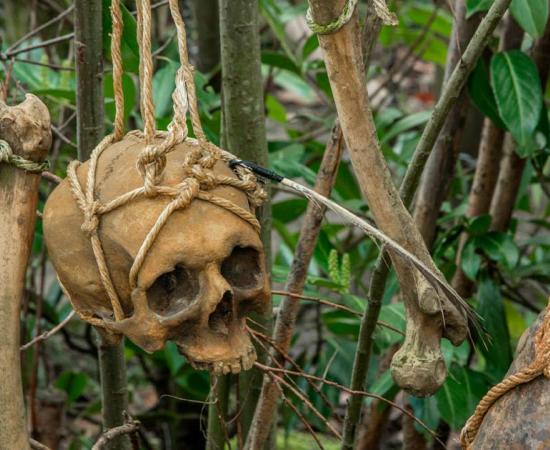 Did a tribe of cannibals encounter the Denisovans. Source: to_go / Adobe Stock.