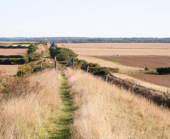 A new report by the local council has highlighted problems being caused by hikers and tourists along the Devil’s Dyke in Cambridgeshire. Source: Rob Mills / CC BY-NC-SA 2.0