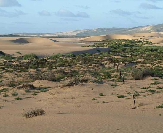 Tetrodon Loop, Dirk Hartog Island, Shark Bay, Western Australia
