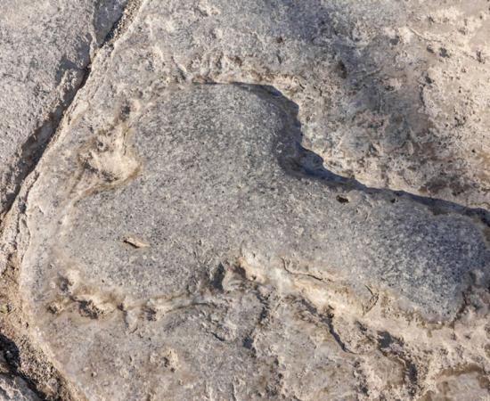 Phallus symbol in Pompeii, Naples, Italy 
