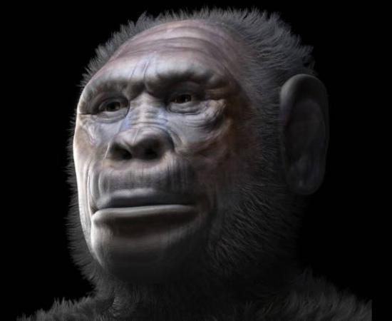 A facial reconstruction representing a male individual of Homo georgicus