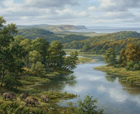 Representation of how Doggerland may have looked.