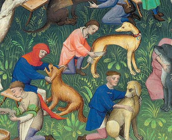 Dogs being taken care of in an image from Livre de la Chasse (Book of the Hunt).  Source: The Morgan Library and Museum/Faksimile Verlag Luzern