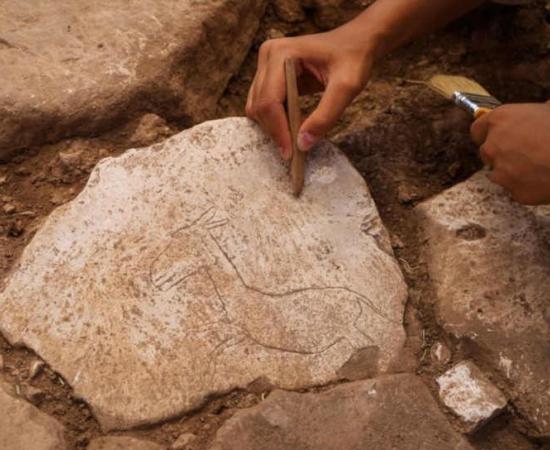 Donkey Motif At Karahan Tepe Adds New Layer to Life at the Site