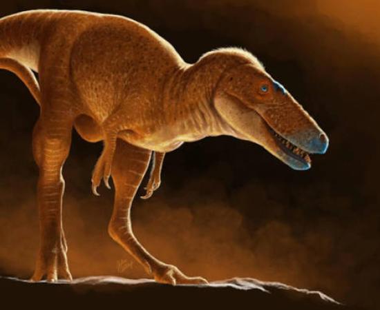 An 85-million-year-old Mongolian dinosaur named Khankhuuluu mongoliensis, seen here in an artist’s reconstruction.