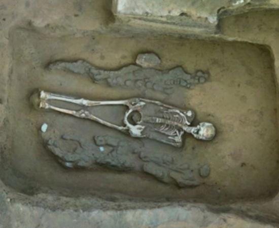 The dragon and phoenix burial found in tomb M38 at the Zhaizita stone-walled site in North China's Inner Mongolia Autonomous Region