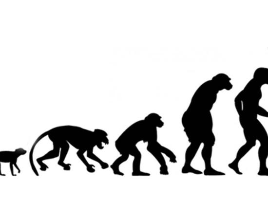An illustration depicting the possible path of human evolution.