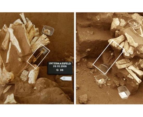 Researchers excavating at Untermassfeld allege that part of a deer bone protruding from the sediment on 28 May 2009 (in box, left) had disappeared several days later.
