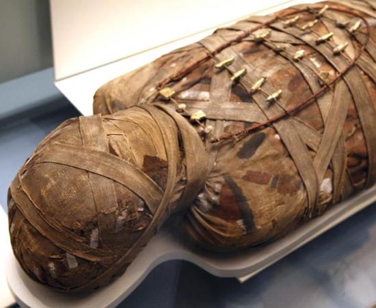Egyptian Mummy. 
