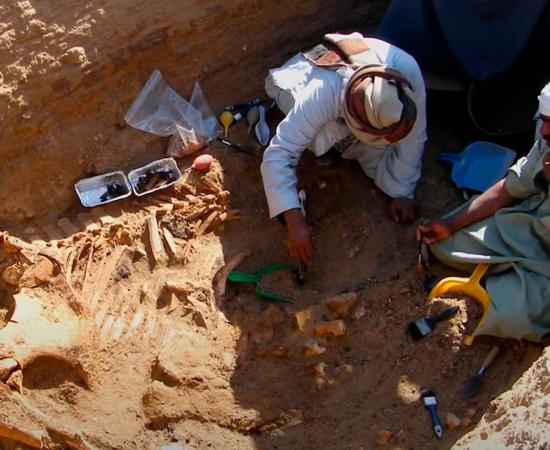 Was this the world’s first zoo? Source: YouTube Screenshot / Smithsonian Channel.