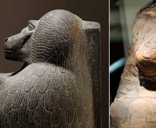 Left; Statuette depicting a worshipping baboon, Right; Baboon mummy.         Source: Left; Metropolitan Museum of Art, CC0, Right; CC BY SA 2.0