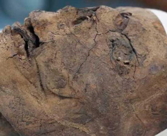 Egyptian mummy head found in an attic in Ramsgate, England. Source: James Elliot / Paleoimaging