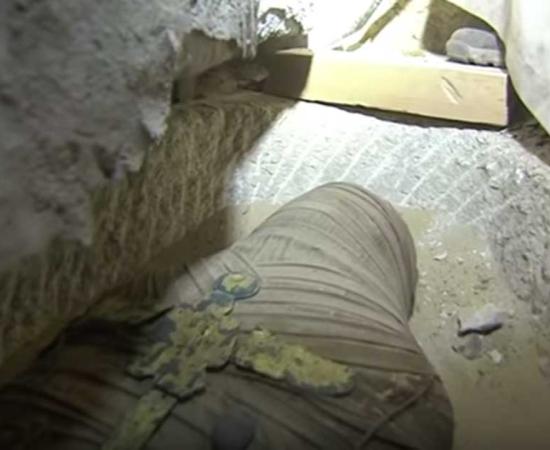 Live opening of sarcophagus revealed a perfectly preserved mummy with gold cross.