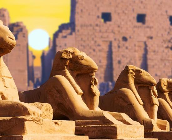 Four ancient Egyptian sphinxes pictured at the Temple of Karnak in Luxor.     Source: Anton / Adobe stock