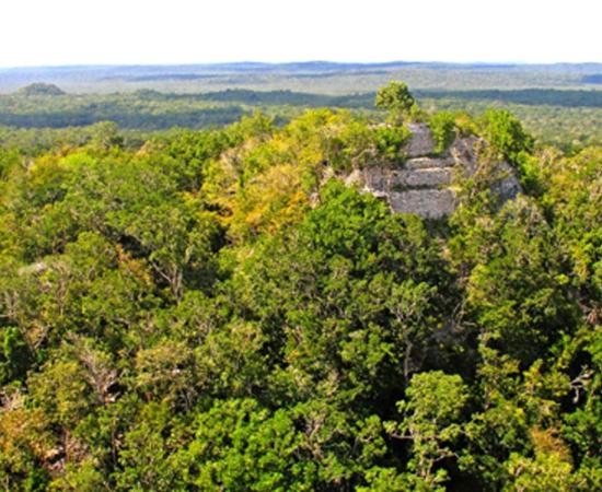 Pyramid of La Danta, El Mirador, Guatemala       