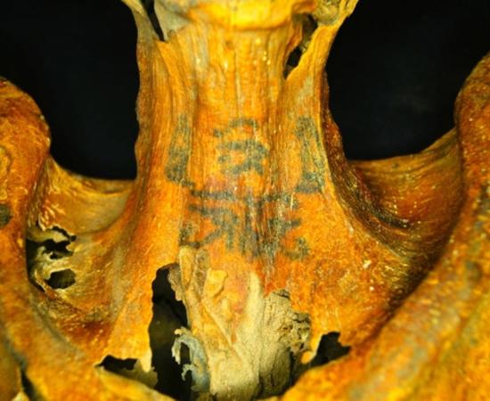 Leaving a Mark: Elaborate Tattoos Found on 3,000-Year-Old Egyptian Mummy