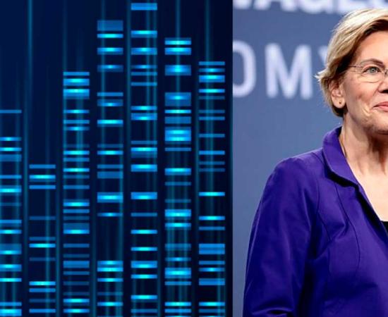 Elizabeth Warren’s DNA test results for Native American ancestry created a lot of controversy. Source: Gage Skidmore / CC BY-SA 2.0, MicroOne /Adobe Stock