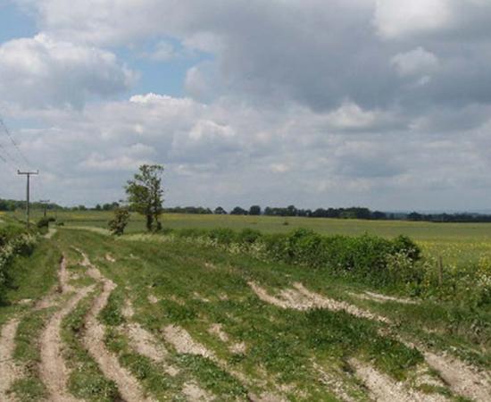 Icknield Way near Lewknor in Oxfordshire. Source: David Hawgood / CC by SA 2.0.
