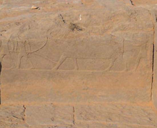 Extensive Engraved Ramp Discovered Connecting an Elite Tomb to the Bank of the Nile 