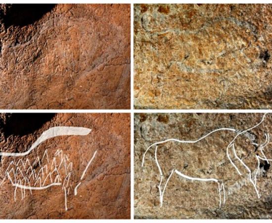 More Than 70 Engravings and Paintings from 14,000 Years Ago Discovered in a Spanish Cave