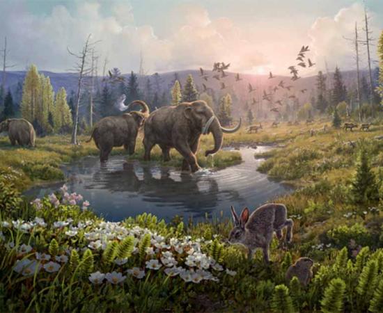 Reconstruction of Kap København formation two-million years ago in a time where the temperature was significantly warmer than northernmost Greenland today.          Source: Beth Zaiken / Nature