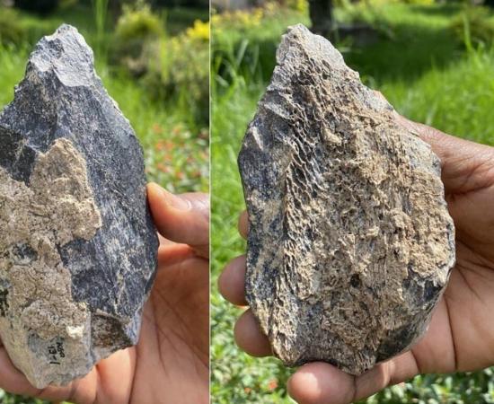 Both sides of the recent Ethiopian bone hand axe find.