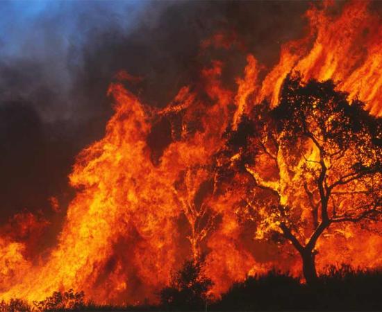 Global warming has led to extreme weather events and much destruction in recent years. Source: FotoXS / Adobe Stock