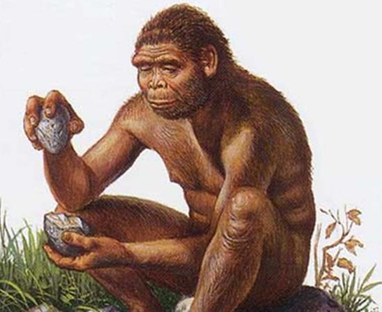 Are you a Righty or Lefty? Ancient Teeth and Tools May Explain the Evolution of Handedness