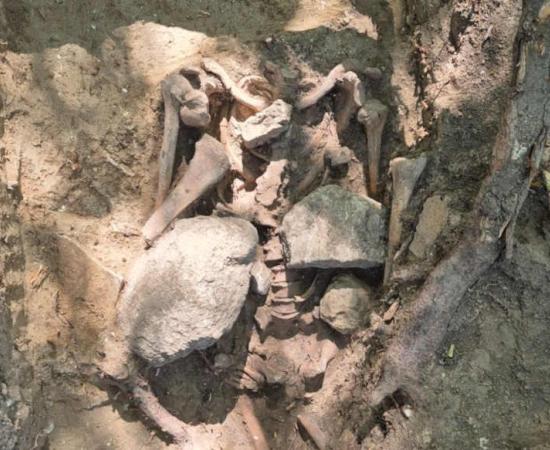 Execution Site Archaeology Uncovers Haunting Secrets in Saxony-Anhalt