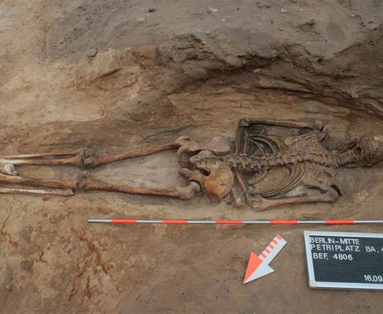 Photograph of a face-down burial, also known as a prone burial, in a churchyard in Berlin, just one of almost a hundred medieval and post-medieval burials in Switzerland, Germany, and Austria included in the study. Source: (Claudia Maria Melisch / Landesdenkmalamt Berlin)