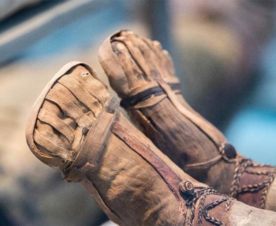 Mummified feet. Credit: Andrea Izzotti / Adobe Stock