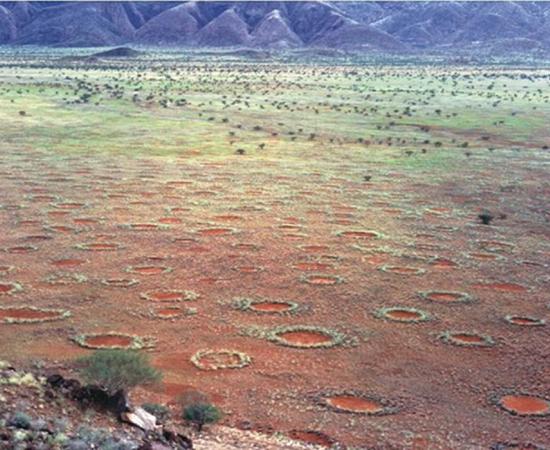 Fairy circles in the Marienflusstal area in Namibia. 