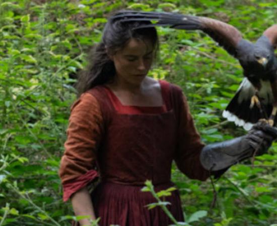 Agnes Hathaway (Jessie Buckley) and her hawk in Hamnet.